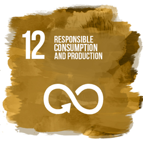 Responsible consumption and production 