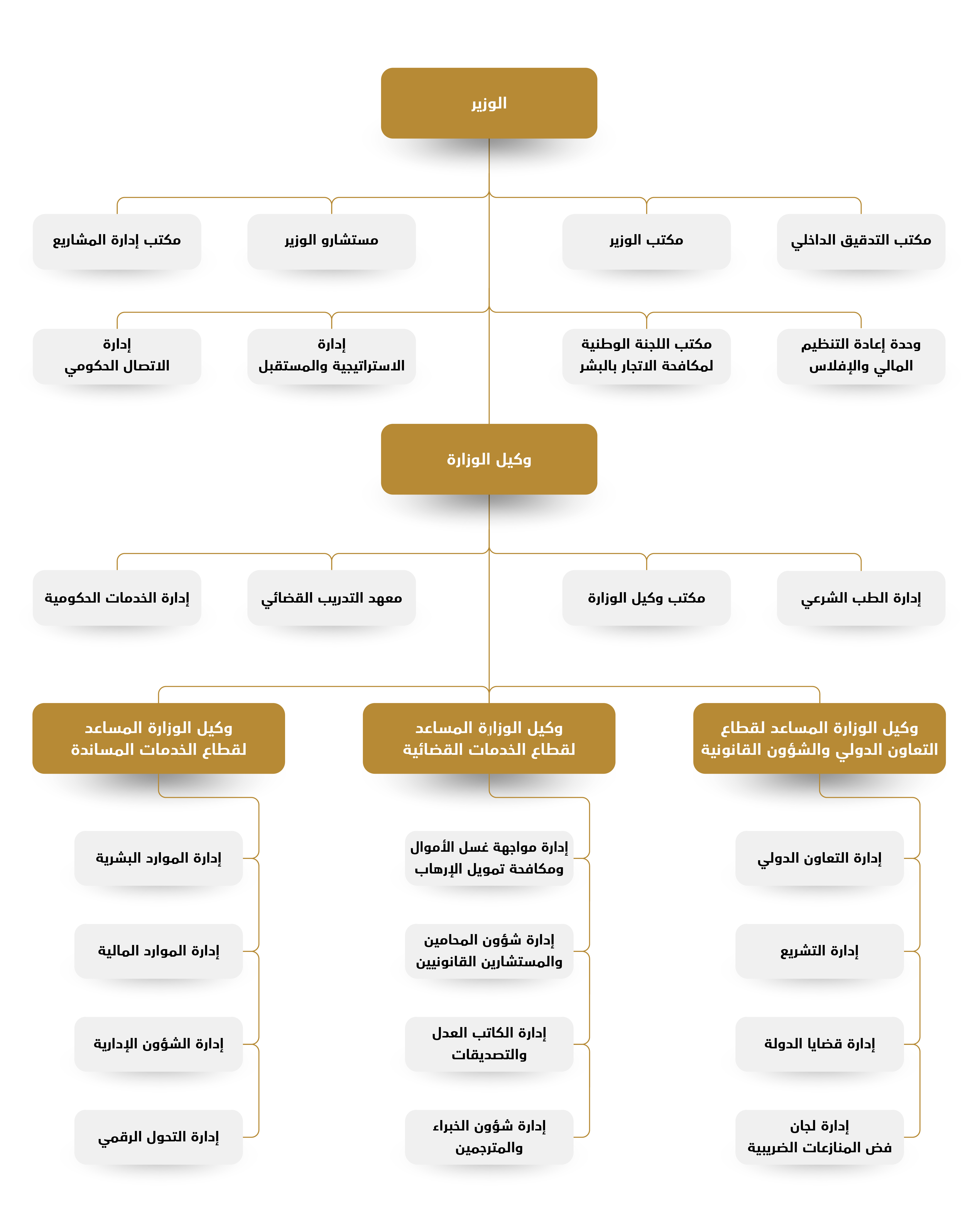 الهيكل التنظيمي 